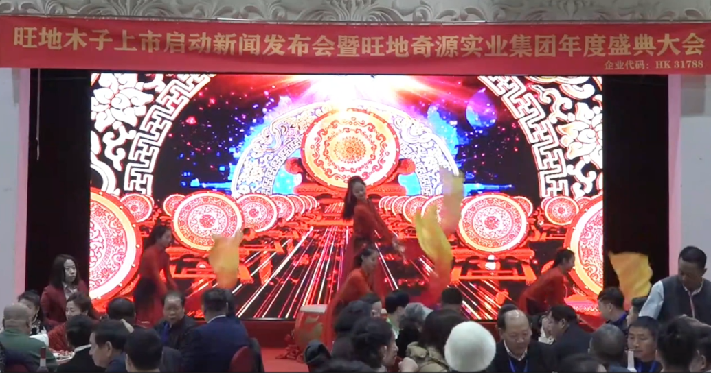 旺地奇源實(shí)業(yè)集團(tuán)年度盛典大會